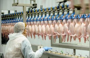 Bosni i Hercegovini odobren izvoz pilećeg mesa u Evropsku uniju