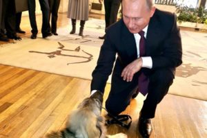 VIDEO – Vučić poklonio štene šarplaninca ruskom predsjedniku Vladimiru Putinu
