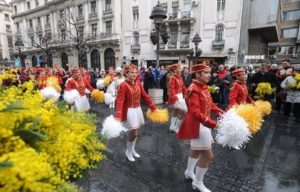 Praznik mimoze: Rekordna posjećenost prvog dana