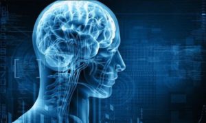 Naučnici tvrde da se mozak modernog čovjeka razvio kasnije nego što se misli