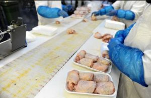 Nema obustave izvoza piletine iz BiH u EU