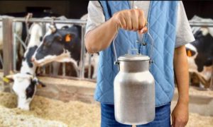 Boris Pašalić: Narednih dana isplata premija za mlijeko