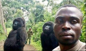 Rendžer objasnio kako je nastao ovaj genijalni selfie s gorilama