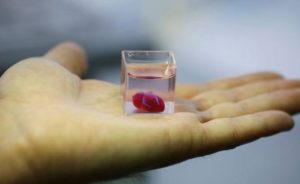 Veliki pomak u nauci: Predstavljeno 3D srce, za 10 godina možda ćemo štampati organe