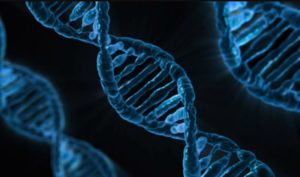 Revolucionarno otkriće: Pronađen gen dugovječnosti!