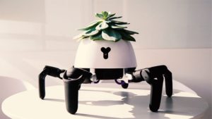 VIDEO – Robotska saksija koja biljke nosi ka suncu
