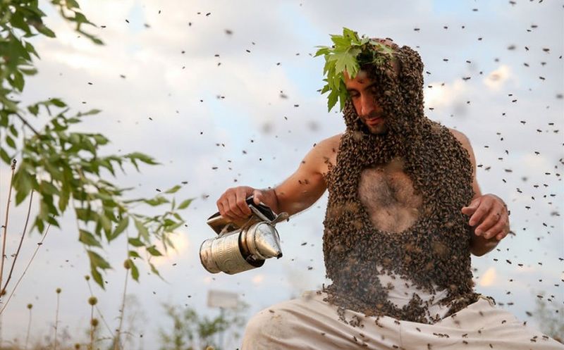 “Čovjek pčela” želi ući u Guinnessovu knjigu rekorda