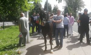 Aktivisti doveli konja ispred OHR-a, dobili prekršajni nalog