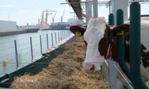 Farmeri ljuti na Savjet ministara: Spremni i na proteste