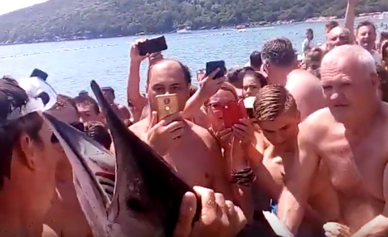 VIDEO – Panika na plaži u Budvi: Kupači mislili da su ugledali ajkulu
