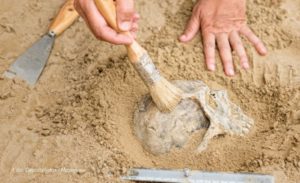 Biće predata Indijancima: Lobanja stara 8.000 godina pronađena u Minesoti