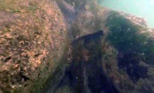 VIDEO – Kome je pripadao srednjovjekovni mač pronađen u kamenu na dnu Vrbasa?