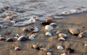 Ukrali 40 kg pijeska sa plaže, čeka ih šest godina robije