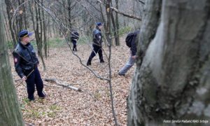 Žena krenula iz Čelinca prema Minhenu, pa je našli u šumi kod Prijedora