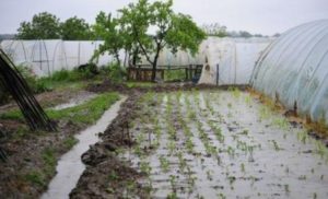 Ministarstvo poljoprivrede upozorava: Zbog mogućeg izlivanja bujičnih potoka zaštitite svoju imovinu