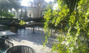 Stablo kestena palo u bašti hotela “Bosna”