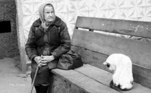 Banjaluka: Besplatna dostava namirnica za starija i bolesna lica