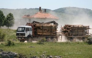 Rast proizvodnje i prodaje šumskih sortimenata