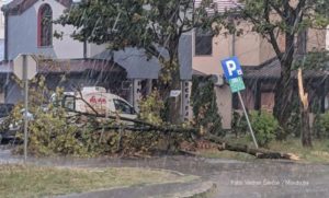 Nevrijeme u Banjaluci, vjetar rušio drveće