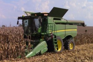 Ljetos obećavao dobre brojke: Očekuje se prinos kukuruza od 10 tona po hektaru