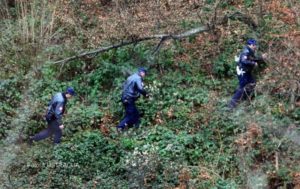 Mladić iz Teslića stradao u šumi u sječi drva