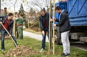 Za ljepši grad biće zasađeno 700 novih stabala u drvoredima