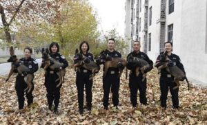 Super-psi klonirani u Pekingu namijenjeni kineskoj policiji