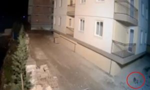VIDEO – Pas bježi nekoliko sekundi prije zemljotresa, a onda zgrada počinje da „poskakuje“