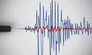 Zemljotres u Srbiji: Podrhtavanje tla se osjetilo u četiri grada FOTO