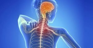 Multipla skleroza – autoimuna bolest centralnog nervnog sistema