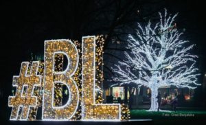 FOTO – Banjalučko ukrasno drvo na meti vandala