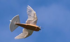 VIDEO – Robot od ptičijeg perja uspješno poletio