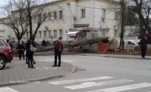 Palo drvo u centru Banjaluke