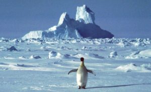Nova rekordna temperatura na Antarktiku, izmjereno 20,75 stepeni