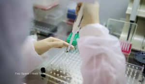 Kineski naučnici otkrili dva tipa novog koronavirusa
