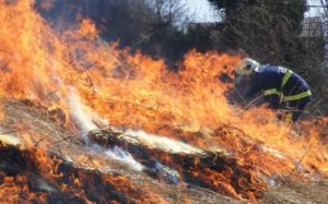 Policija apeluje na građane: Ne paliti korov u blizini šume
