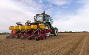 Na nivou višegodišnjeg prosjeka: Planirana sjetva pšenice u Prijedoru na 2.800 hektara
