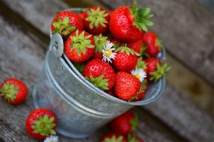 Slatke i ukusne bobice: Dnevna doza jagoda može poboljšati zdravlje srca, mozga i varenja