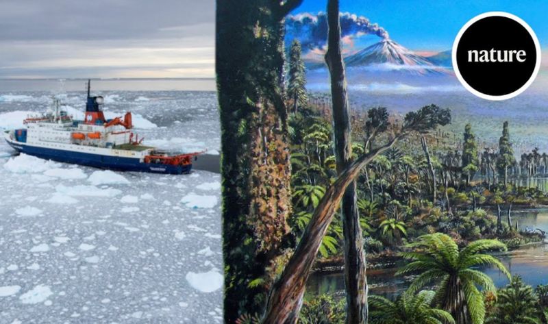 VIDEO – Južni pol je nekada prekrivala gusta prašuma