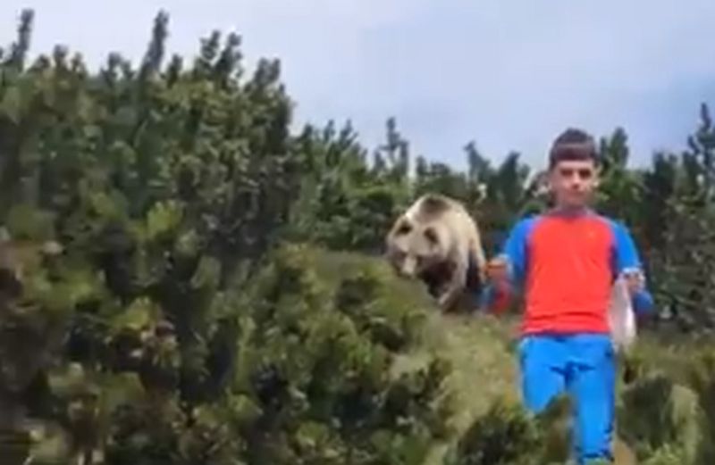 VIDEO – Iza 12-godišnjaka u šumi iznenada se pojavio medvjed, dječak postao hit zbog reakcije