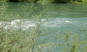 Naložena obdukcija: U rijeci Drini pronađeno tijelo nepoznatog muškarca
