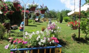 Prijave za tradicionalnu akciju do 20. juna: Banjaluka bira najuređenije dvorište