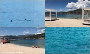 Snimljen morski pas na plaži u Dubrovniku – VIDEO
