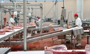 Pomoć proizvođačima mesa: Tri miliona KM za interventni otkup