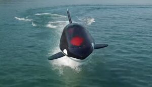Podmornica ili kit ubica: Plovilo sa početnom cijenom od 25.000 evra – VIDEO