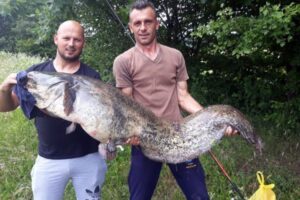 Ulovio grdosiju od 45 kilograma