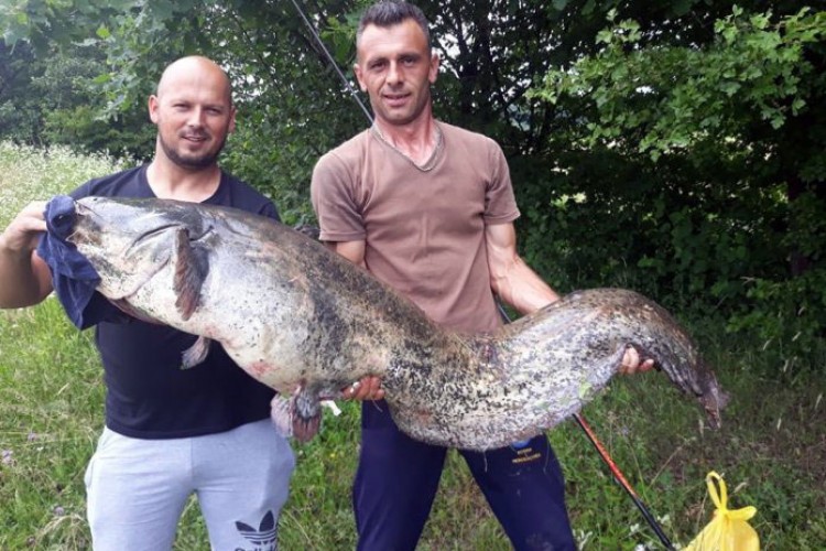 Ulovio grdosiju od 45 kilograma