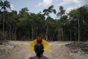 “Pluća svijeta” sve manja: U Amazoniji iskrčene šume na površini 10 puta većoj od Pariza