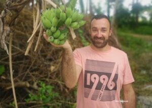“Tropski raj”: Banane rastu i u ovom dijelu BiH, uskoro će ih brati i Zagrepčani
