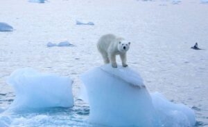 Naučnici upozoravaju: Moguće zagrijavanje na Arktiku za 20 stepeni do kraja vijeka